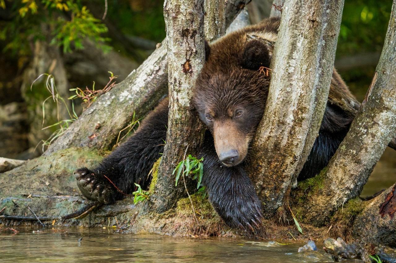 ���������