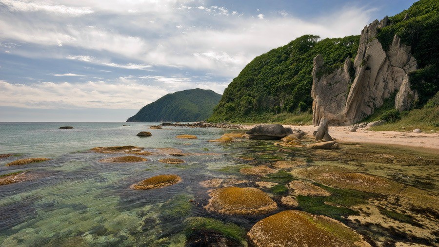 ���������