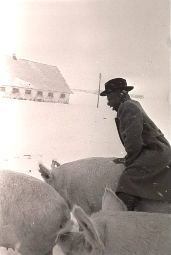 ���������