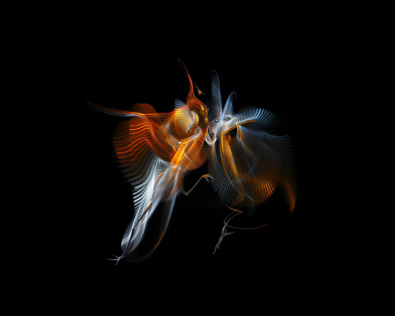 ���������