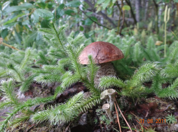 ���������