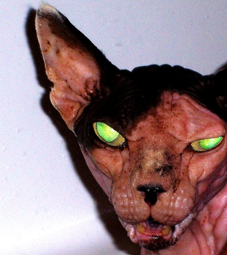 ���������