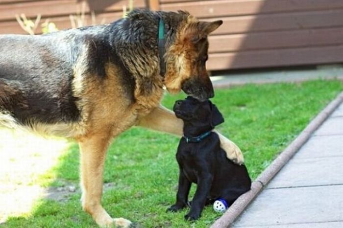 ���������