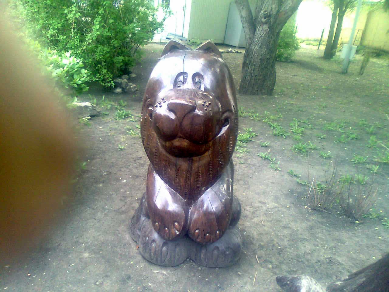 ���������