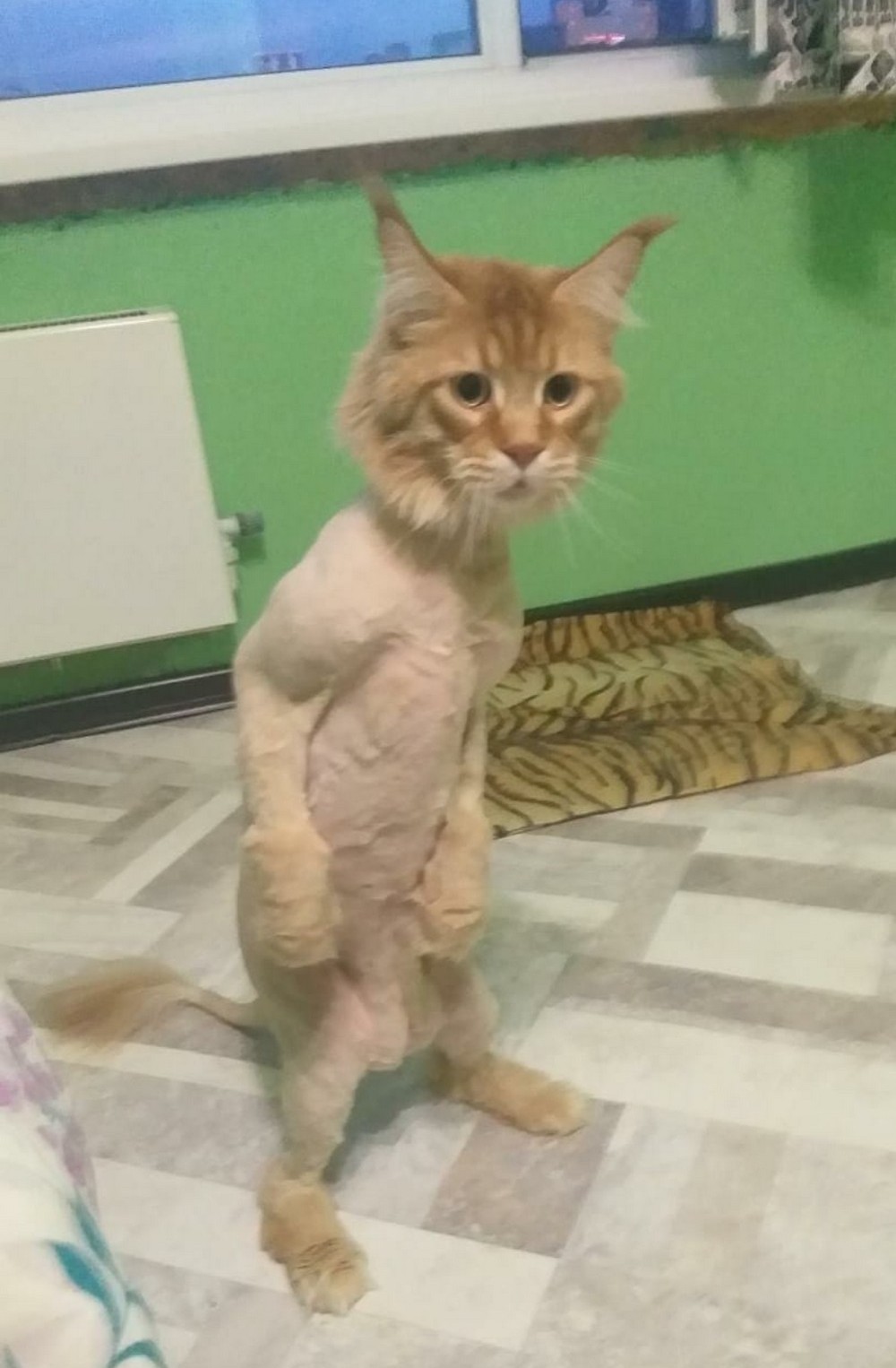 ���������