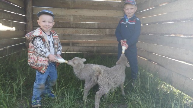 ���������