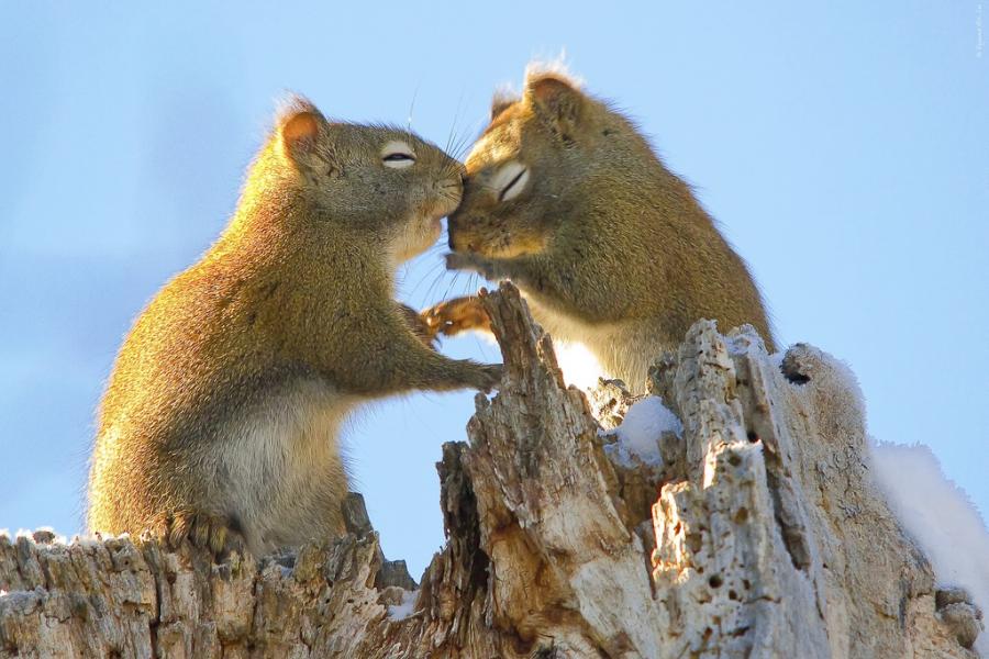 ���������