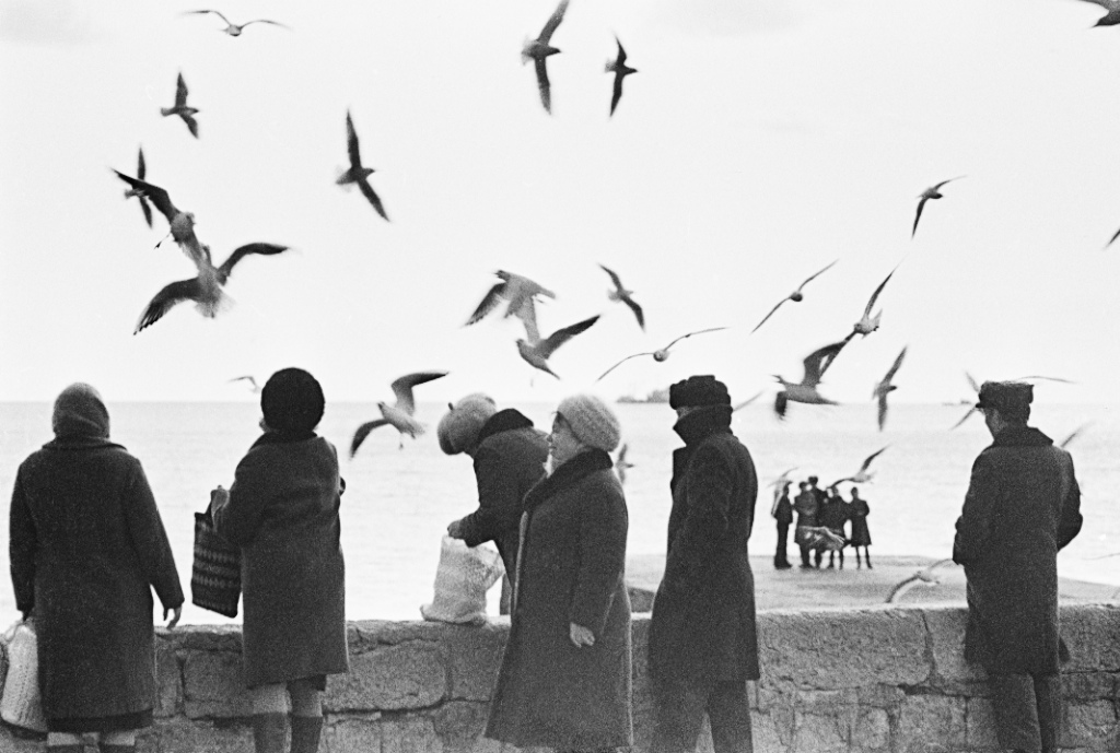 ���������