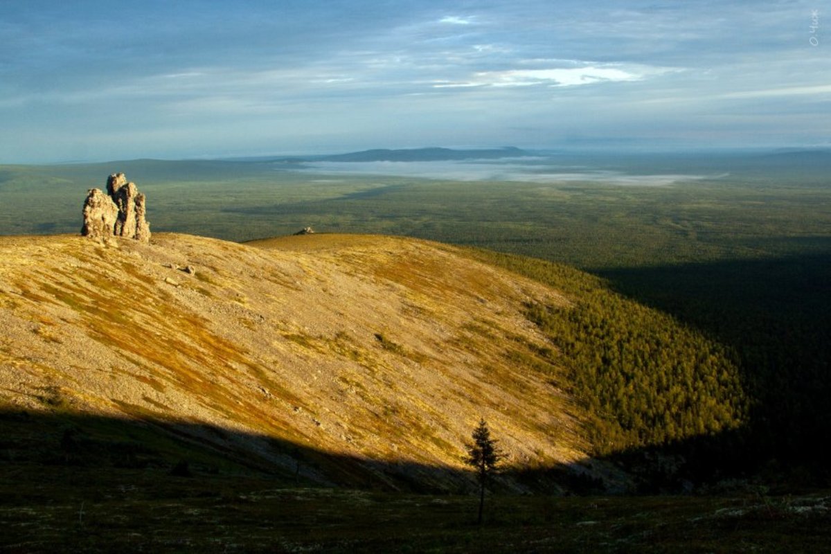 ���������