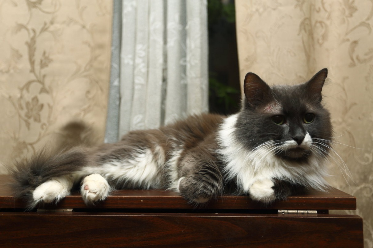 ���������