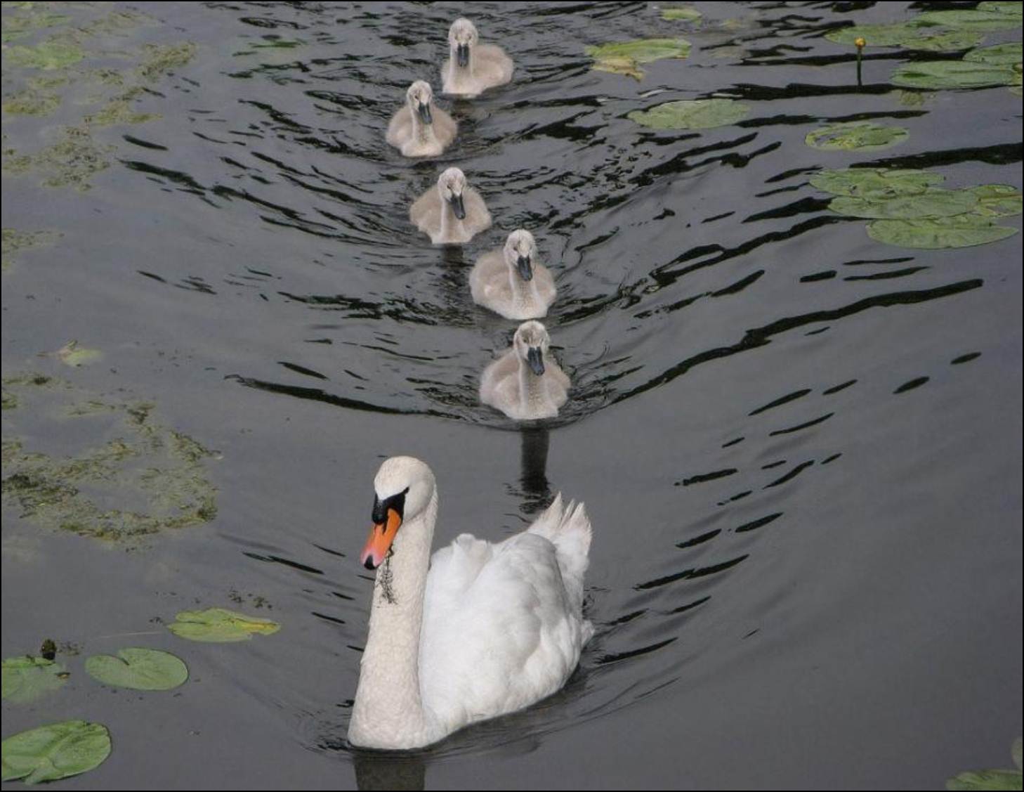 ���������