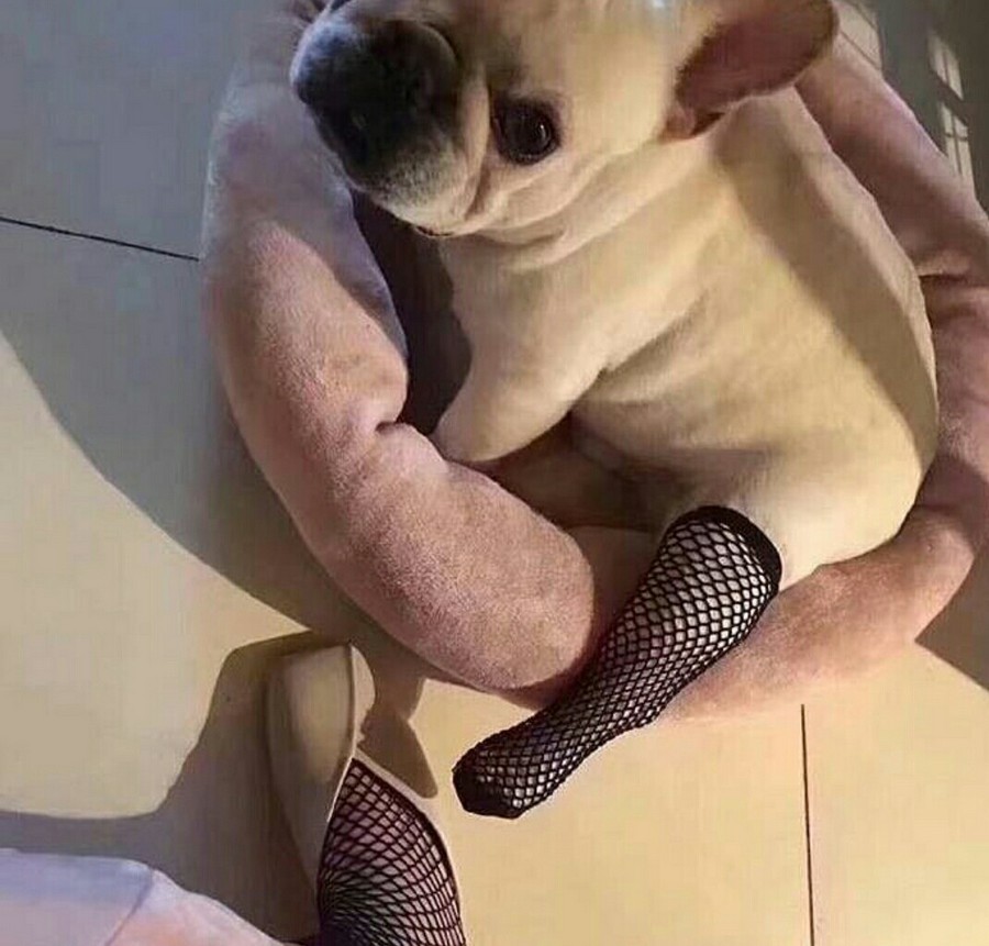 ���������