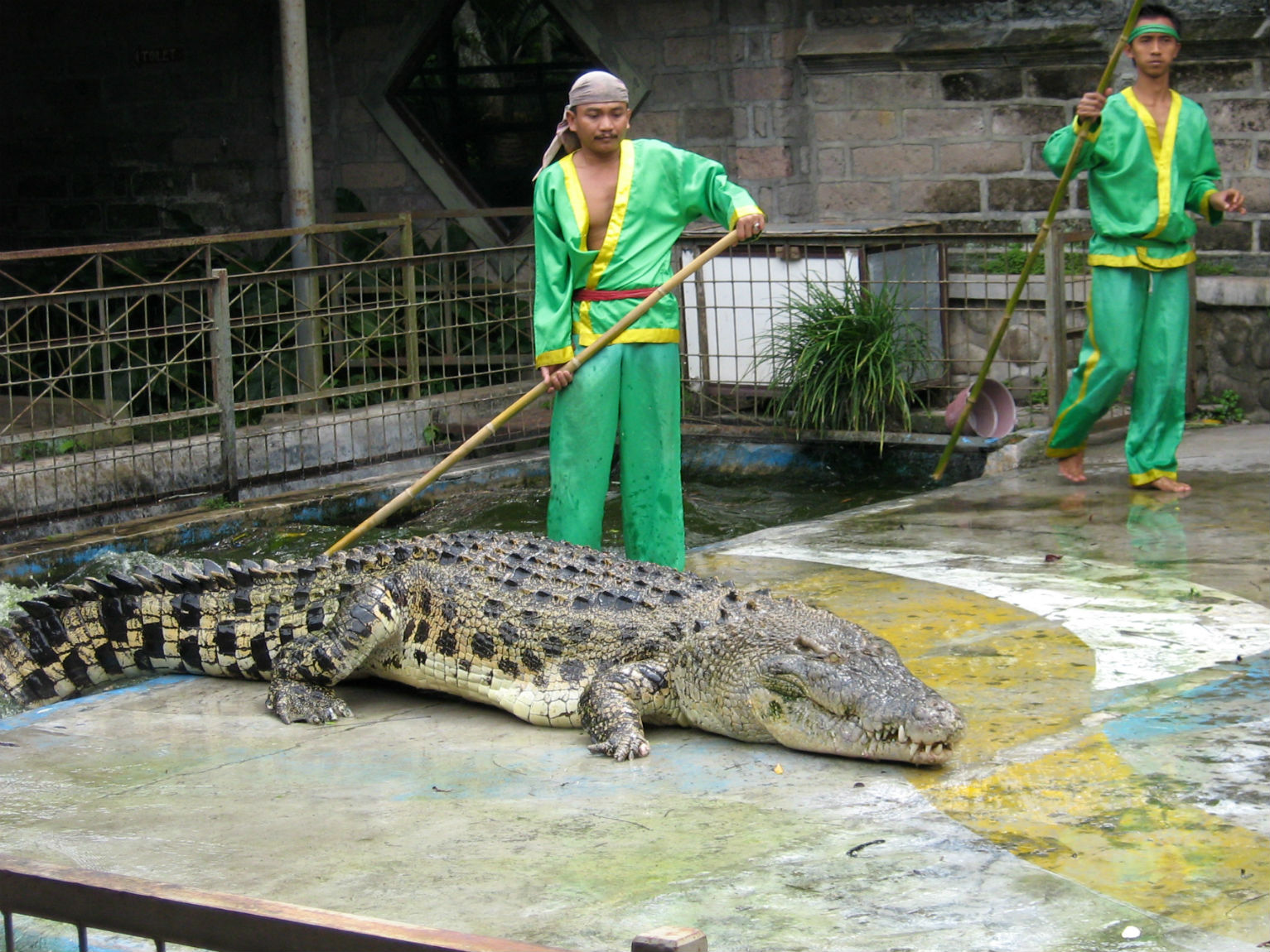 ���������