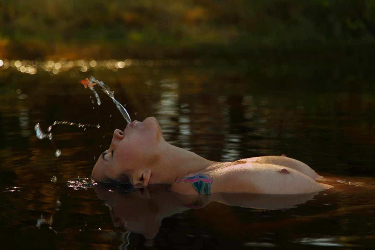 ���������