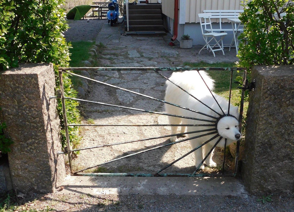 ���������