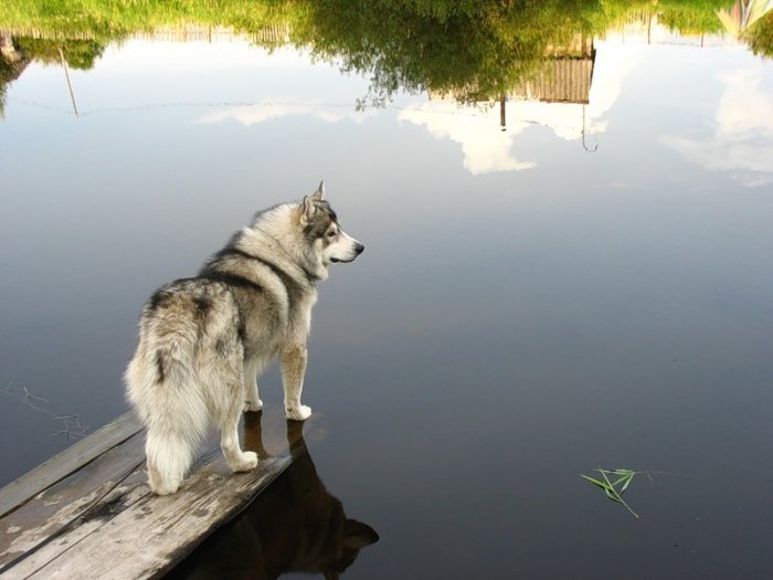 ���������