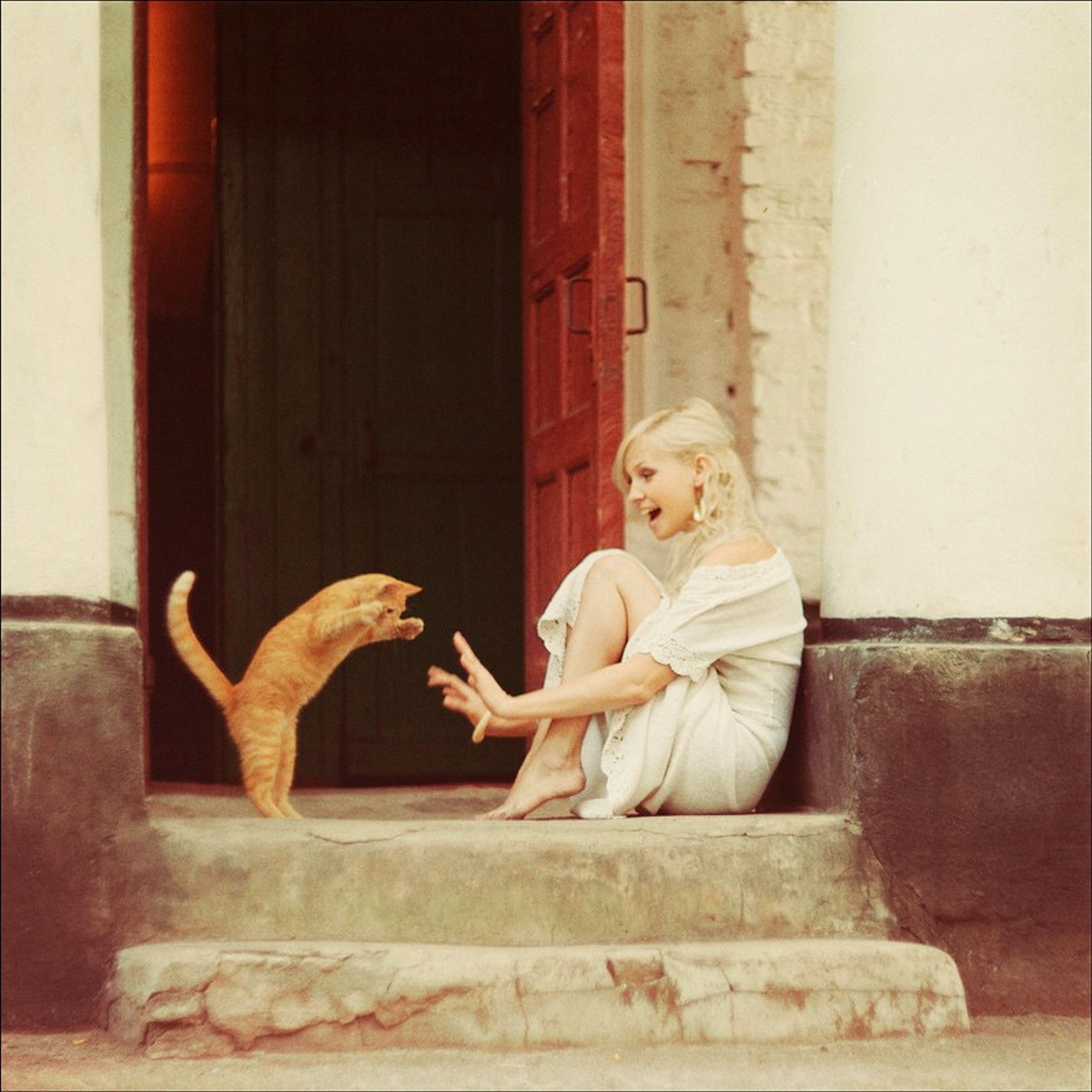 ���������