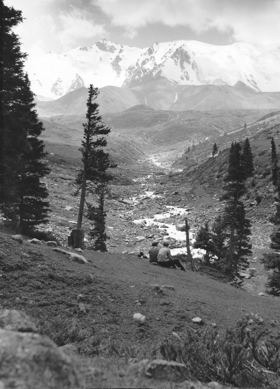 ���������