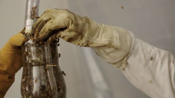 ���������