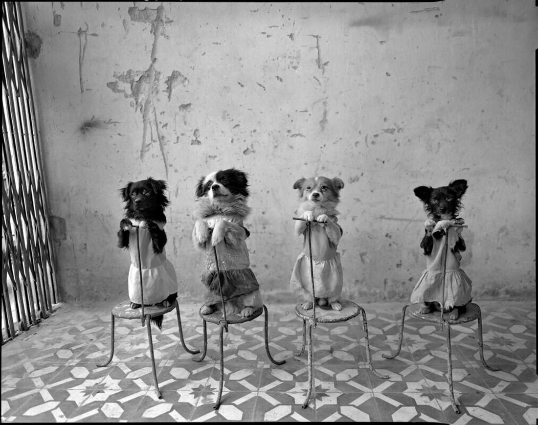 ���������