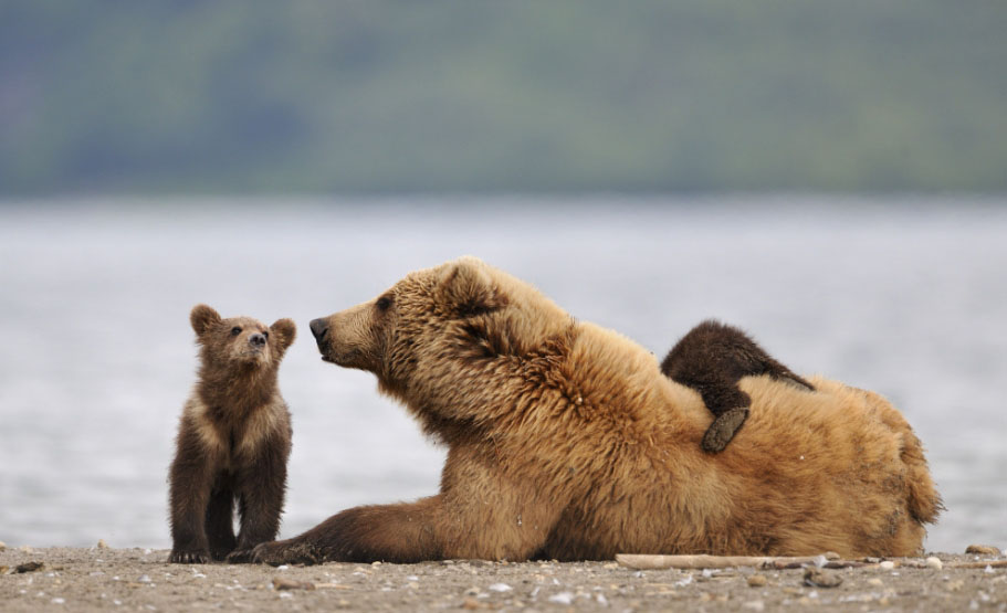 ���������