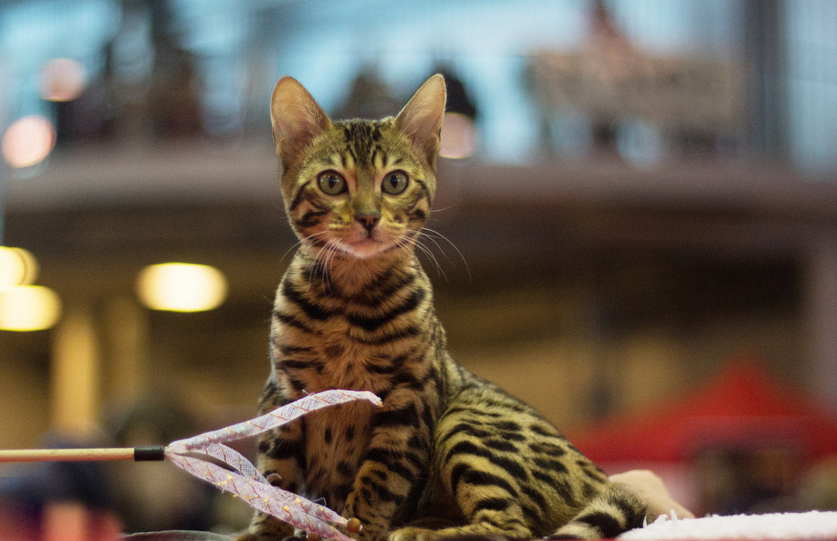 ���������