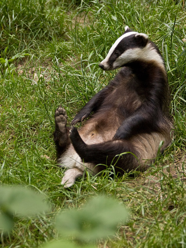 ���������