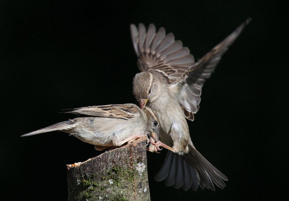 ���������