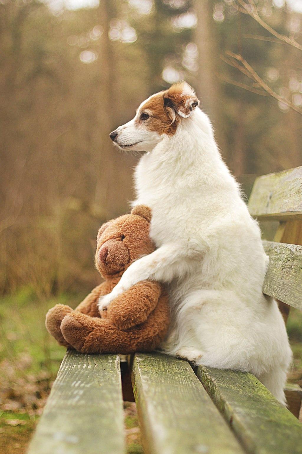 ���������