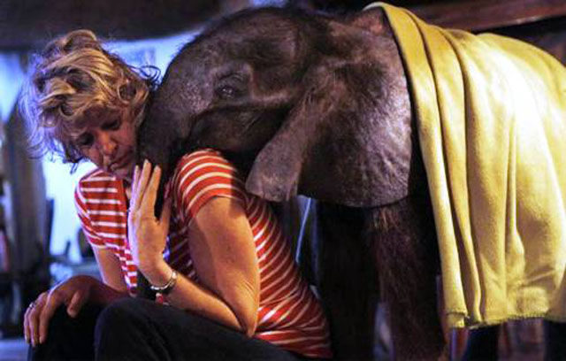 ���������