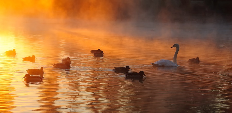 ���������