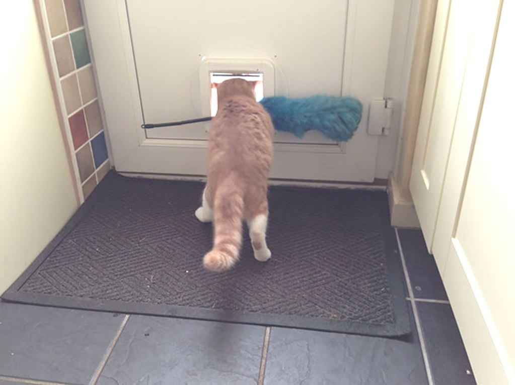 ���������