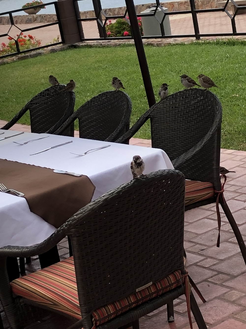 ���������