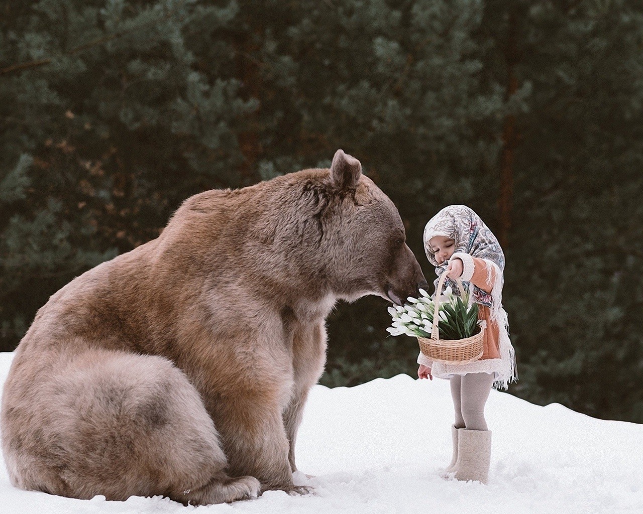 ���������