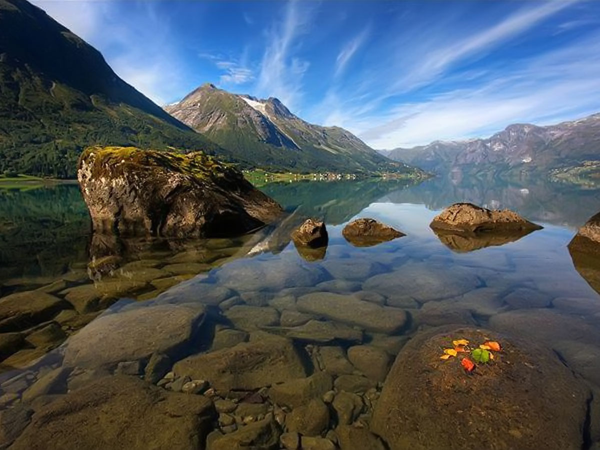 ���������