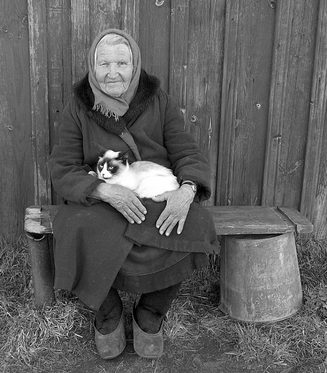 ���������