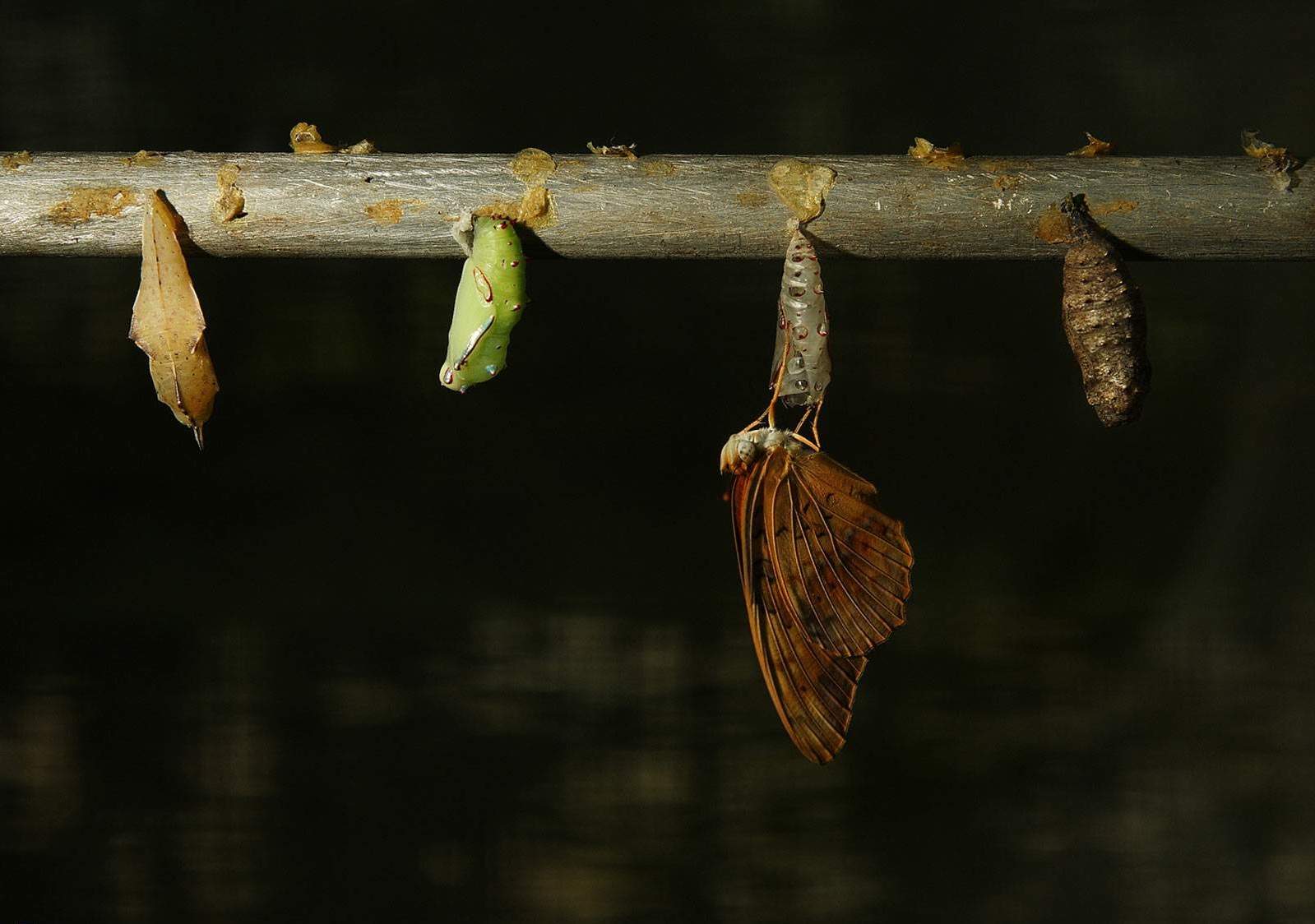 ���������