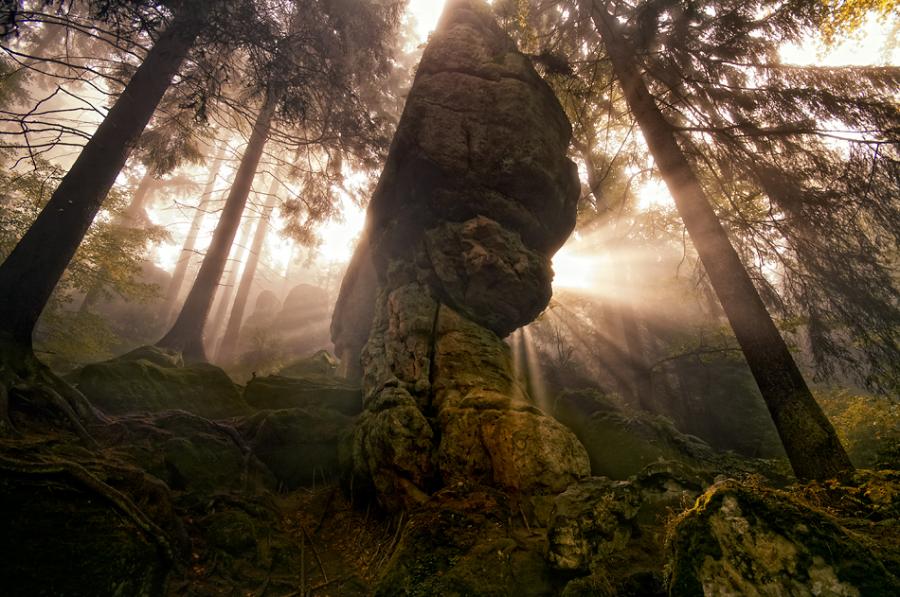 ���������