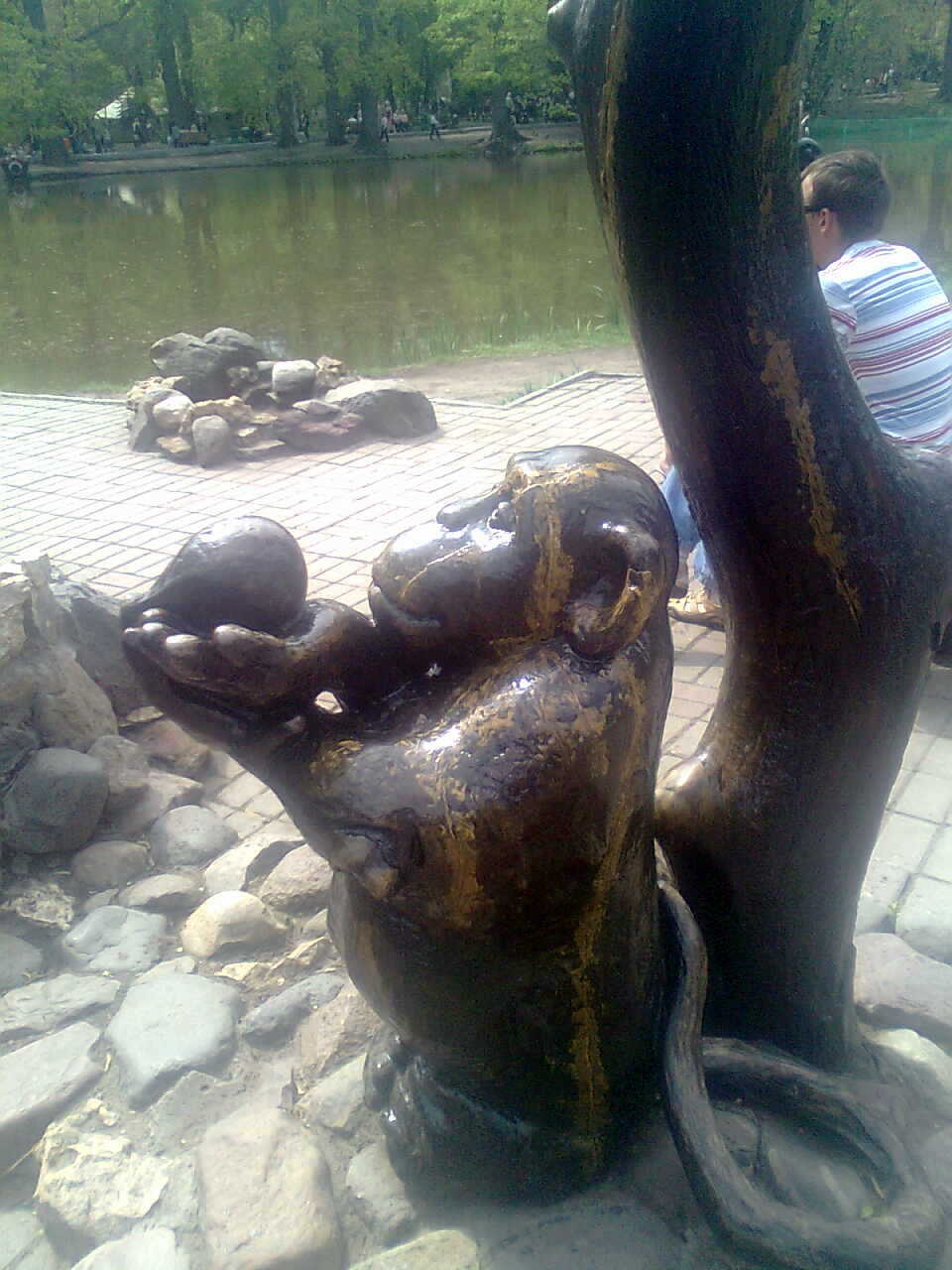 ���������