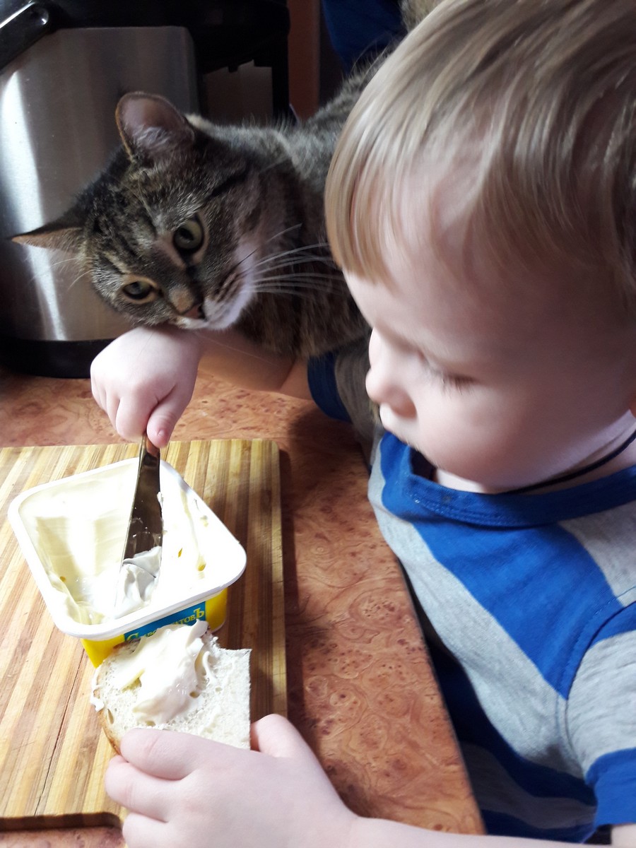 ���������