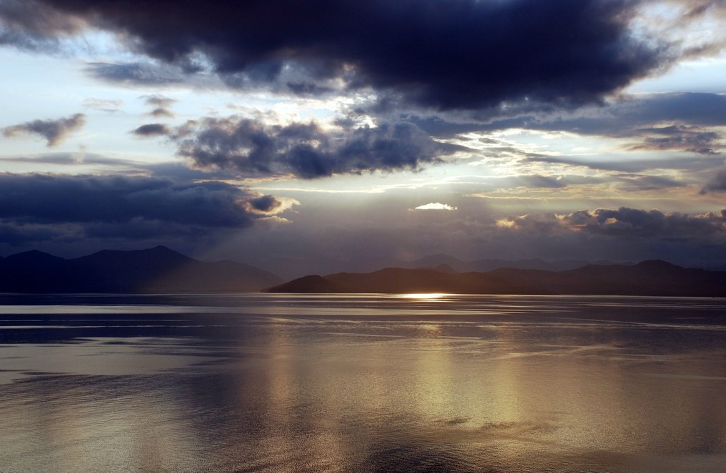 ���������