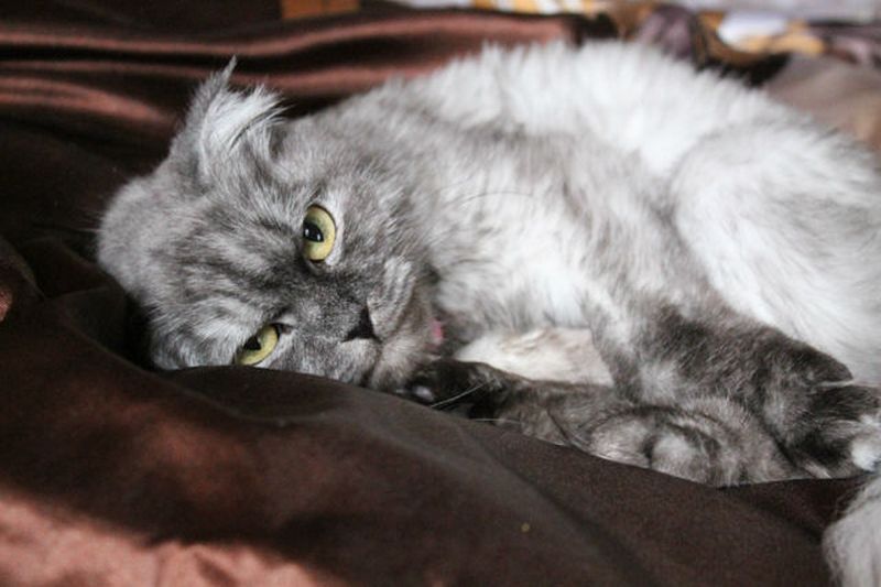 ���������