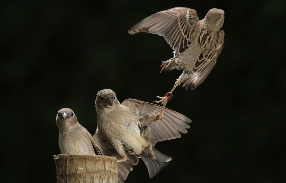 ���������