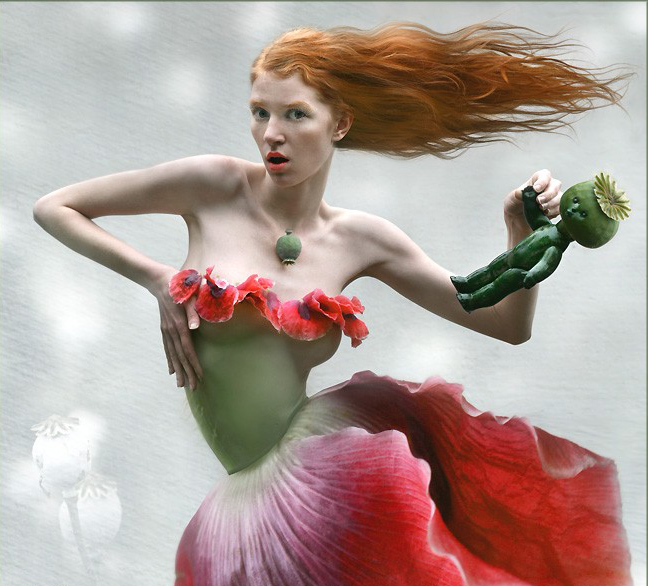 ���������