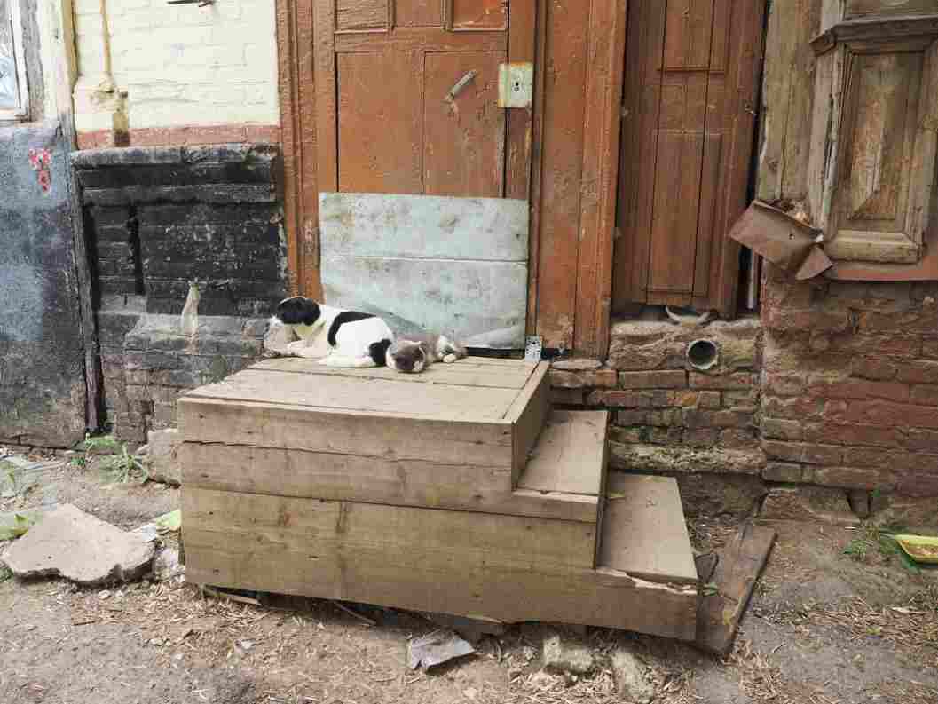 ���������