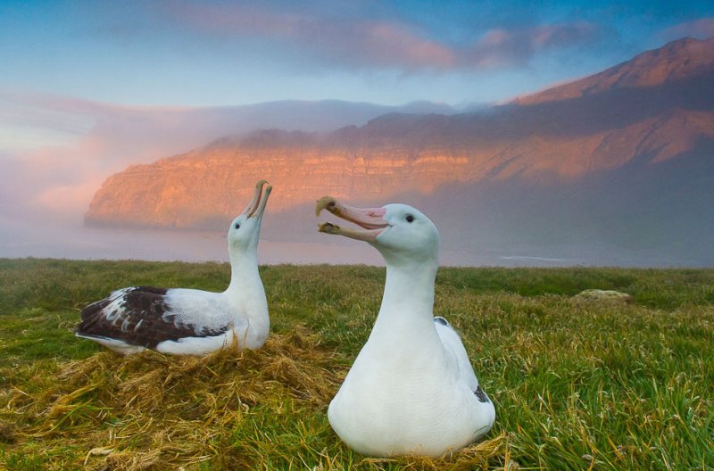 ���������