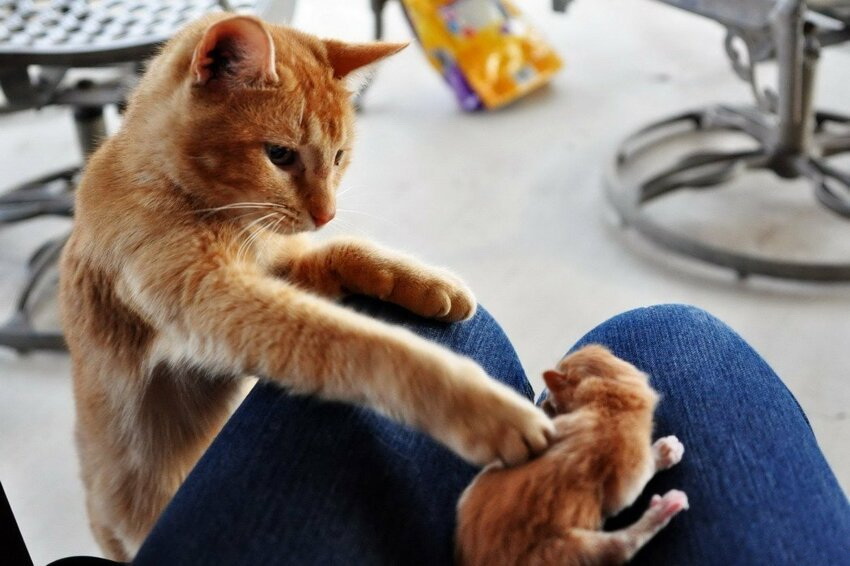 ���������