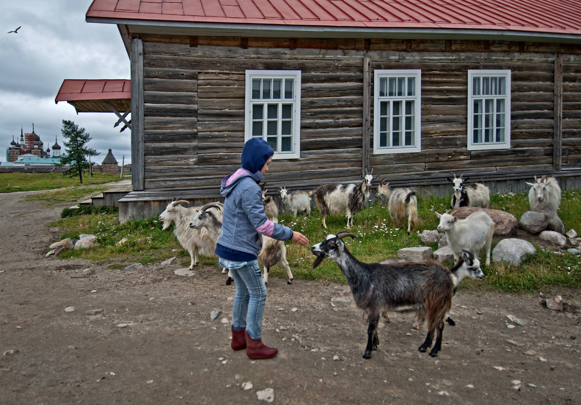 ���������