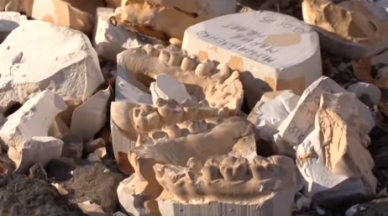 ���������