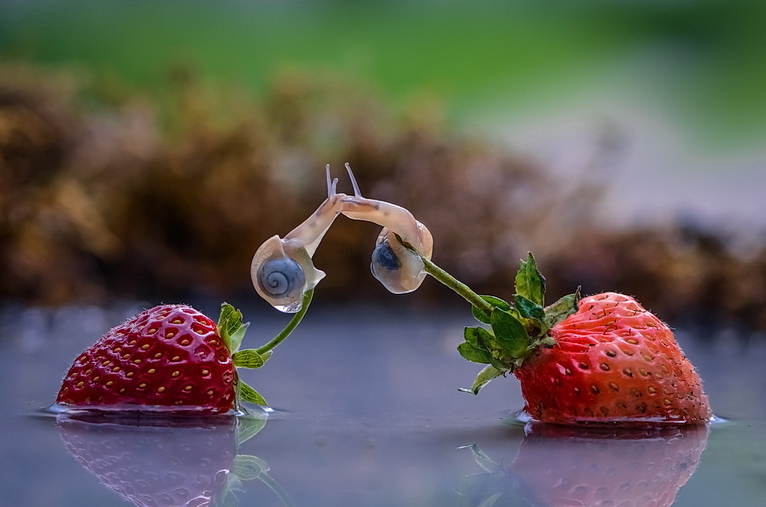 ���������